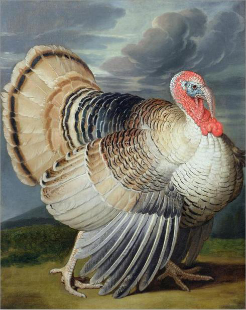 Yellow-shoulder painting